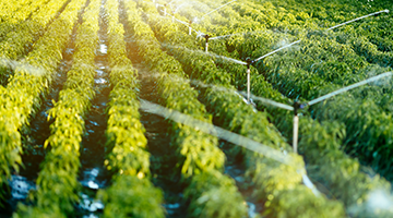 Что такое система дождевального орошения?