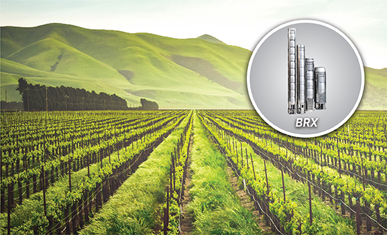 Masdaf Increases Efficiency in Agricultural Land with Smart Pump Technologies!