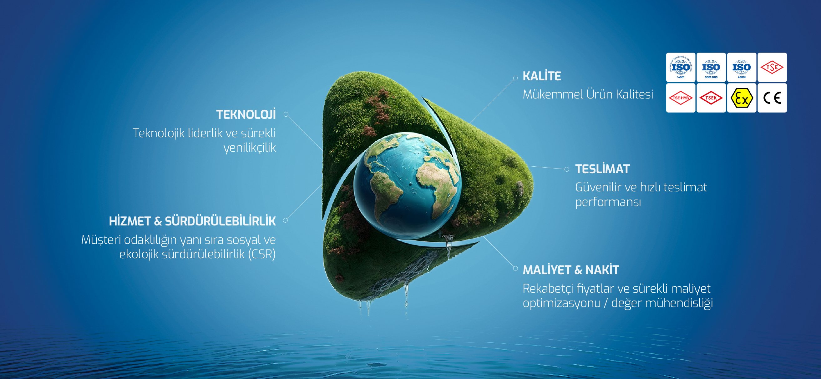 Entegre Yönetim Sistemimiz